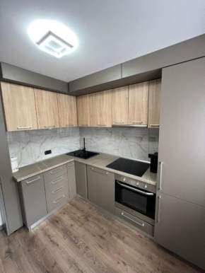 Sica GuestHouse Borşa
